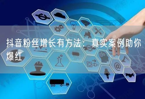 抖音粉丝增长有方法：真实案例助你爆红