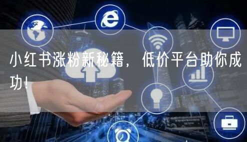 小红书涨粉新秘籍，低价平台助你成功！