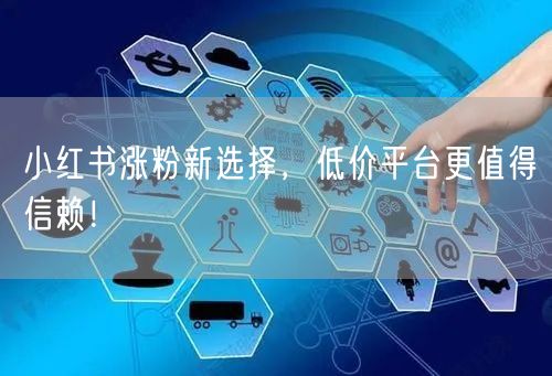 小红书涨粉新选择，低价平台更值得信赖！