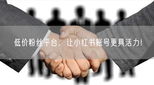 低价粉丝平台，让小红书账号更具活力！
